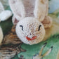 Book Bear / Book Bunny - norsk oppskrift