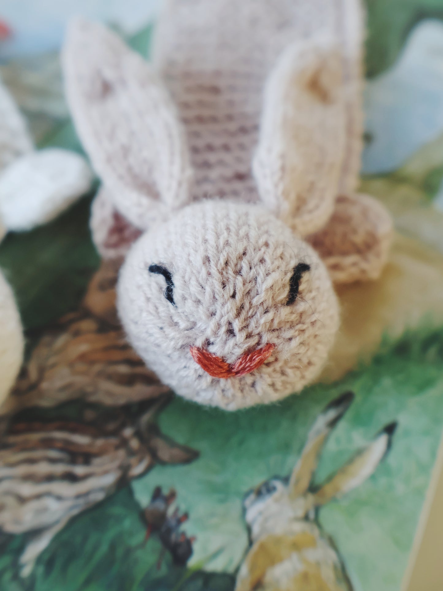 Book Bear and Book Bunny - english pattern