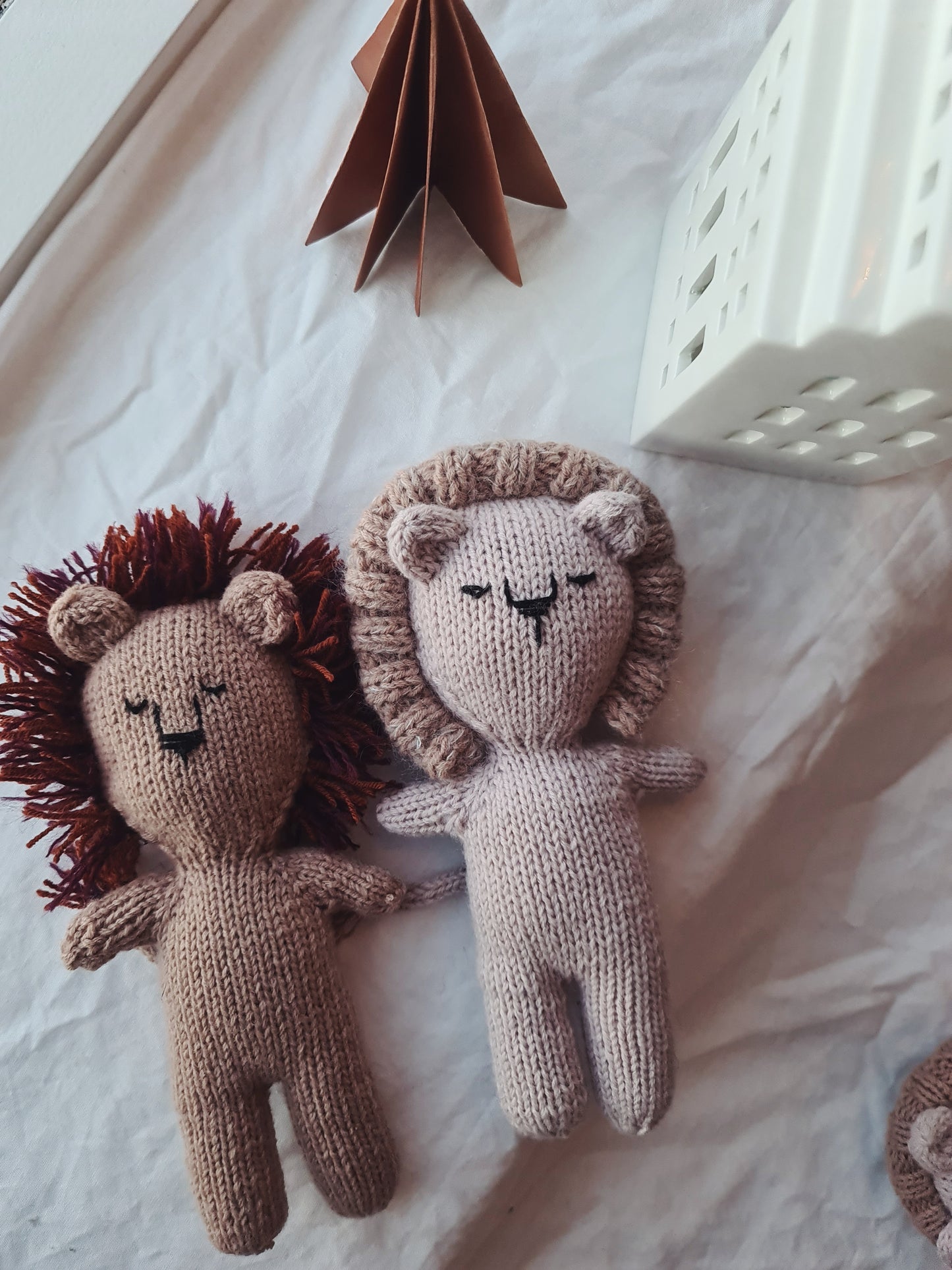 Lussi the Lion - english