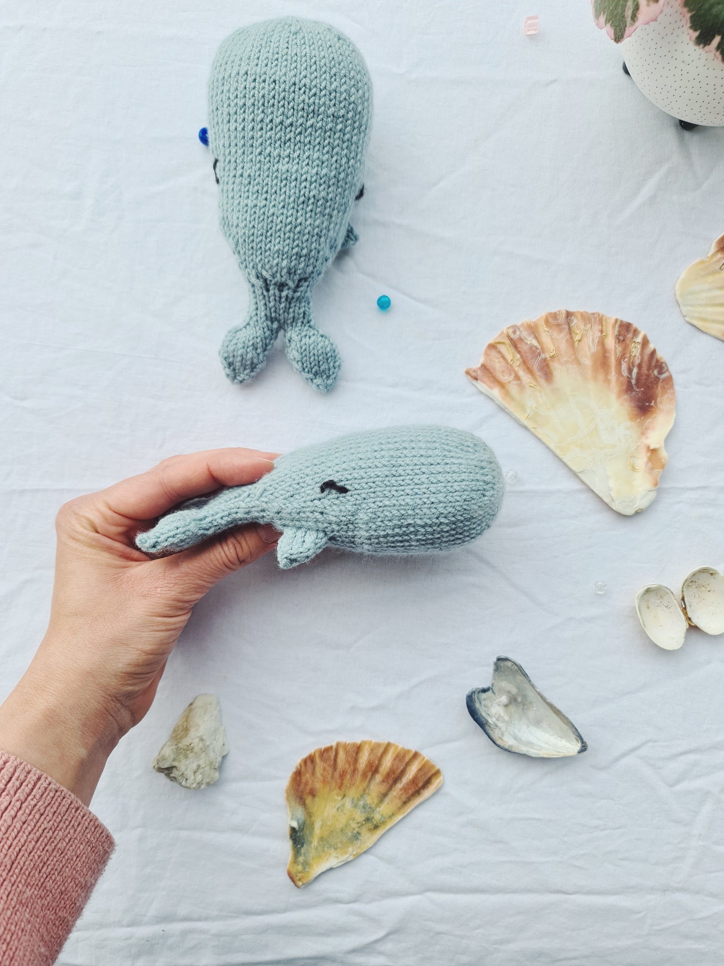 Walborg the Whale - english